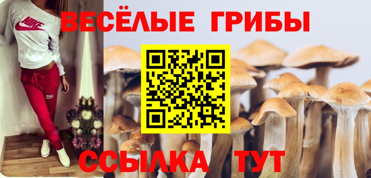 Псилоцибиновые грибы Psilocybe  Галлюциногенные грибы GOLDEN TEACHER  Вход с VPN  где купить наркотик  Элиста 