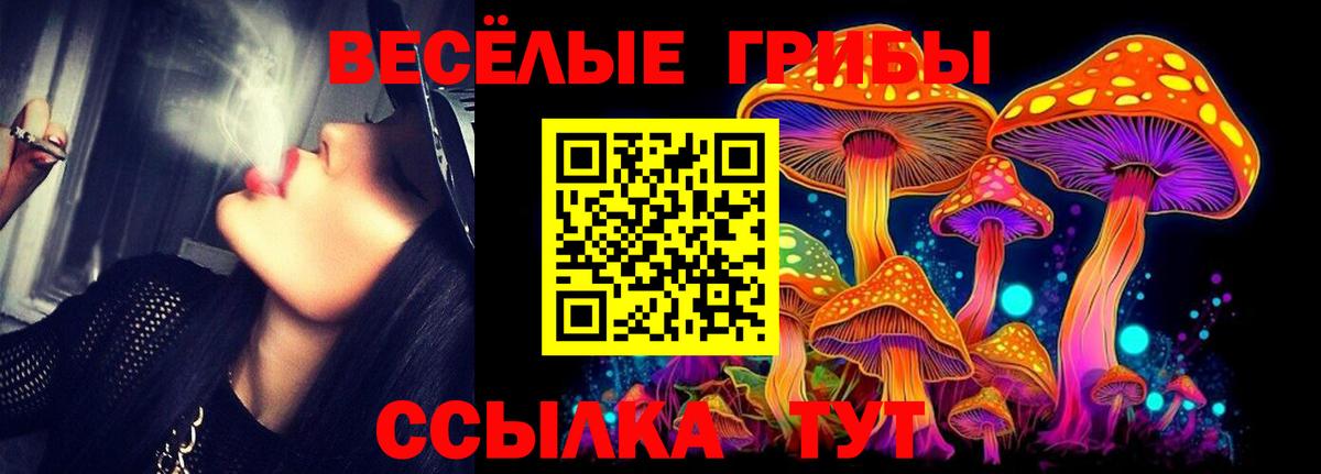 Галлюциногенные грибы мухоморы Элиста